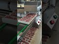 mesin sate otomatis #machinery #machine #food #mesin #outechmachinery #factory #kitchen #canggih