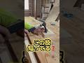 プロでも知らない釘打ちの裏技！