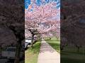 Vancouver: Canada’s Coastal Paradise of Nature and City