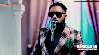 Ferre Gola   Home Acoustique  1