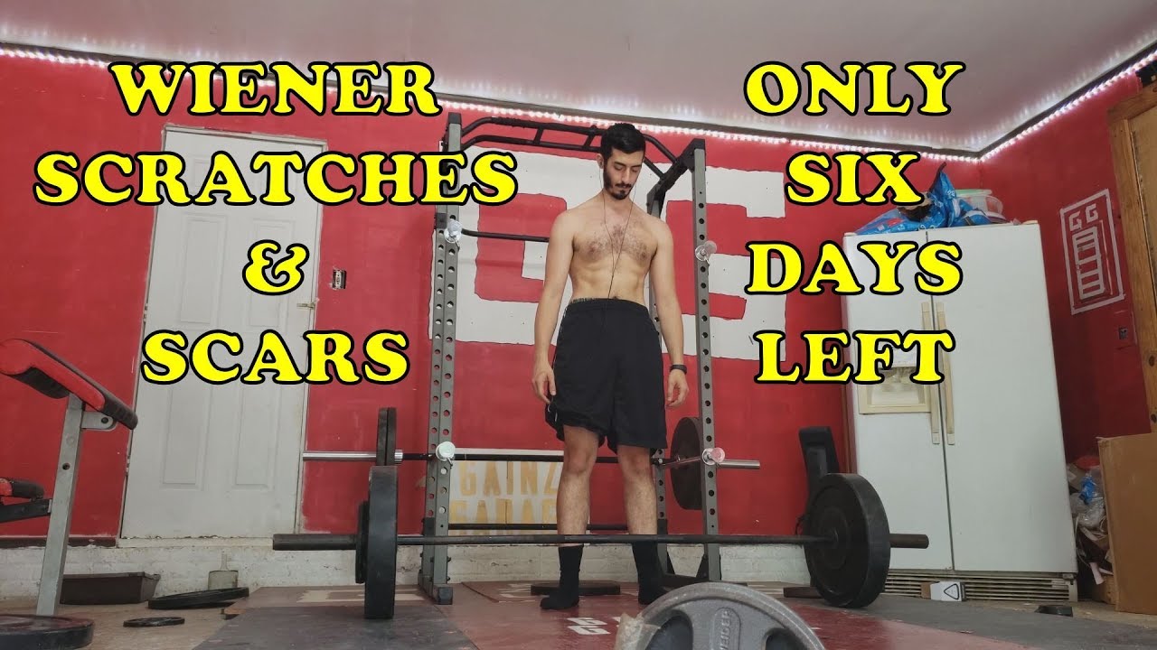 Bleeding Elbow Special | Zercher Deadlifts video editing software free