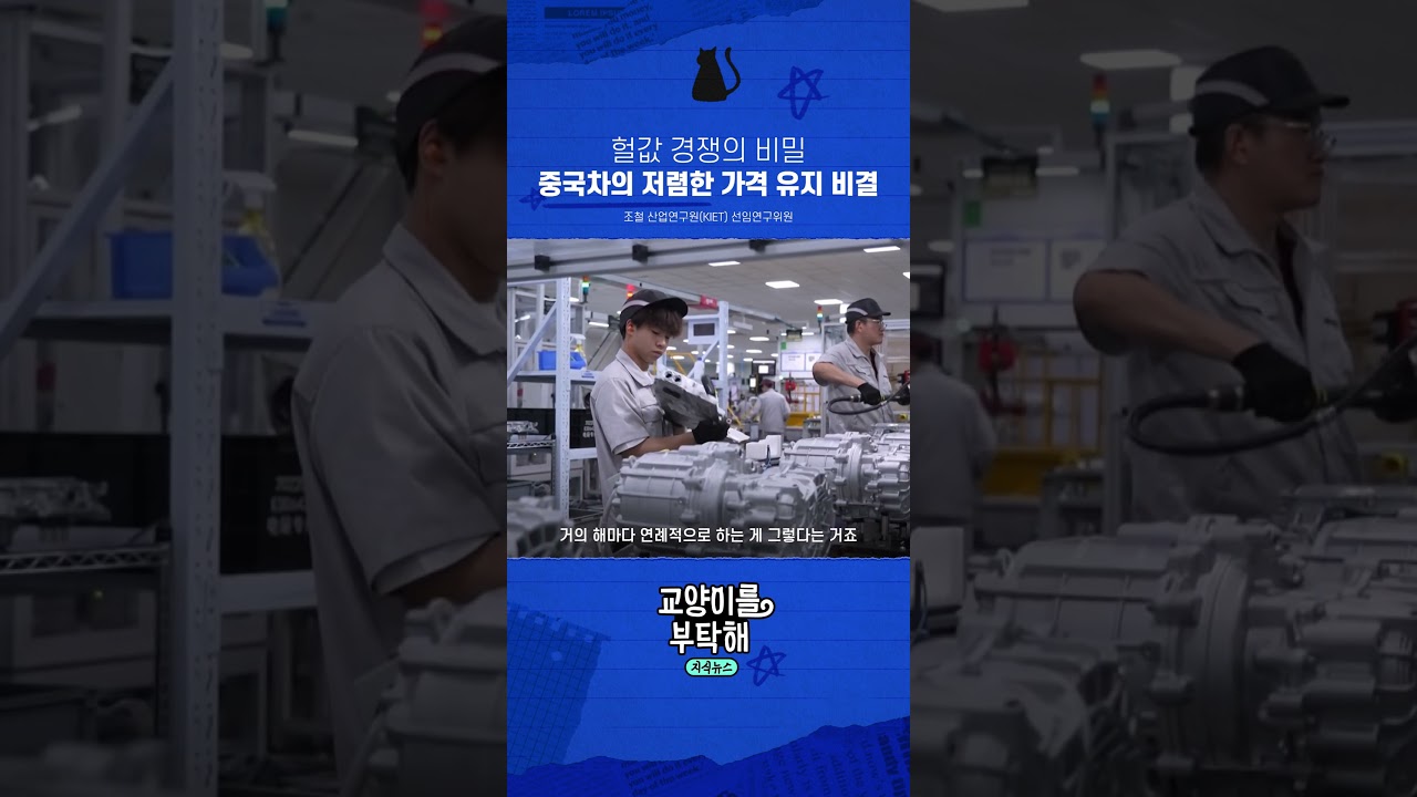 헐값 경쟁의 비밀 중국차가 저렴한 가격을 유지하는 비결 #교양이를부탁해 #현대차 #중국전기차 #BYD #전기차 #자동차산업 #보스턴다이내믹스 #피지컬AI