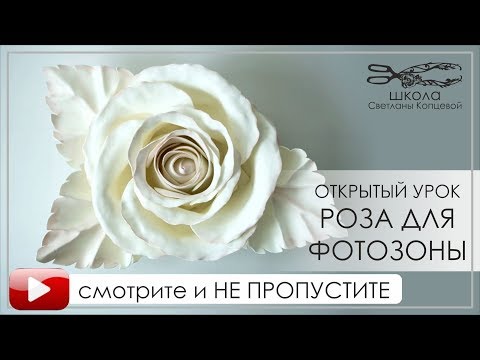 Открытый урок РОЗА ДЛЯ ФОТОЗОНЫ Школа Светланы Копцевой преподаватель Светлана Копцева
