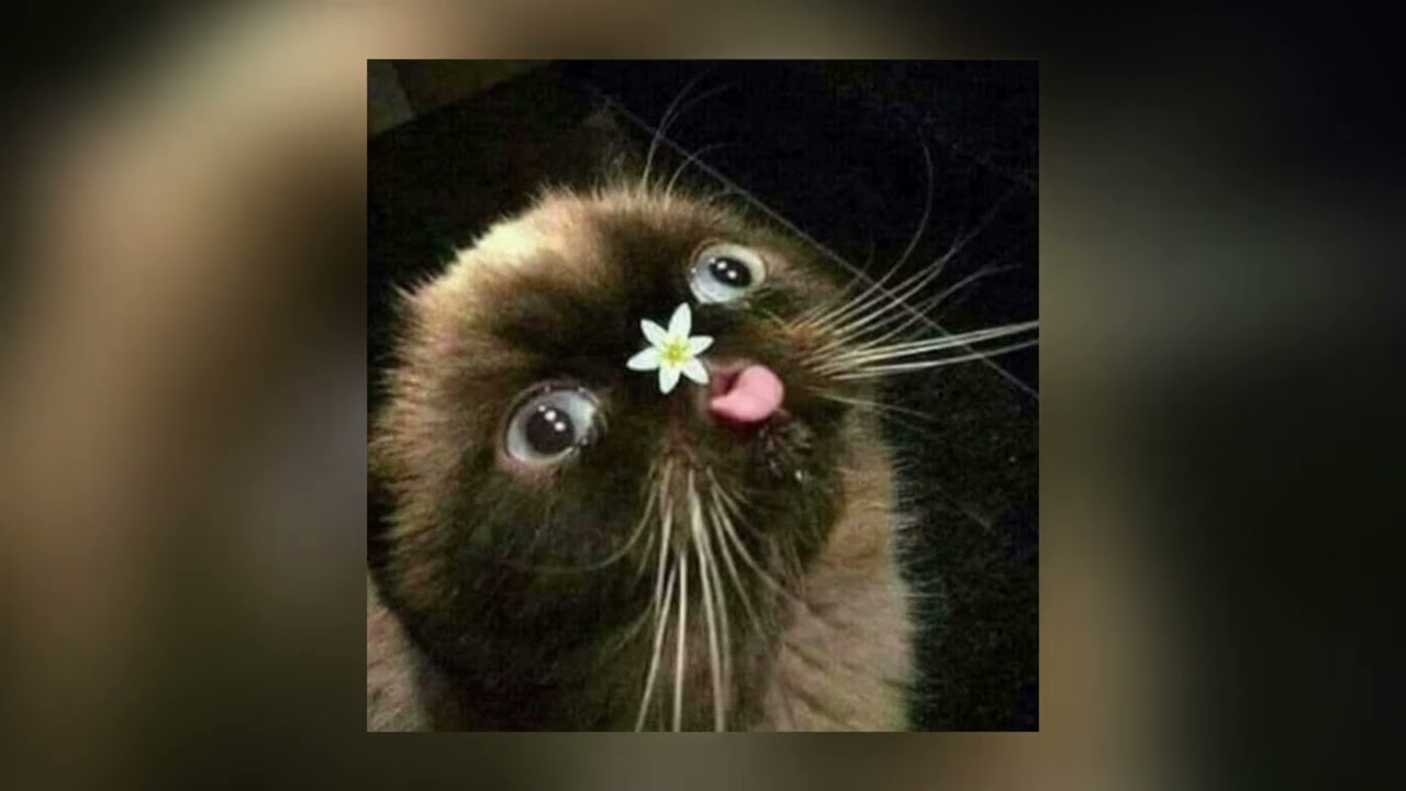 Eyez Hate U - YKWIW... [SLOWED]