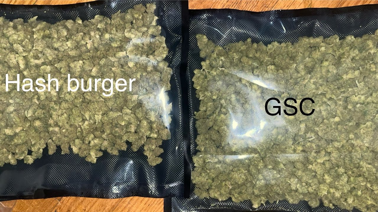 Hash Burger and GSC THCA smalls