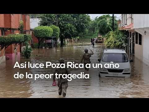 INSTITUTIONAL ABANDONMENT | One year after the flood, neglect and corruption sink Veracruz