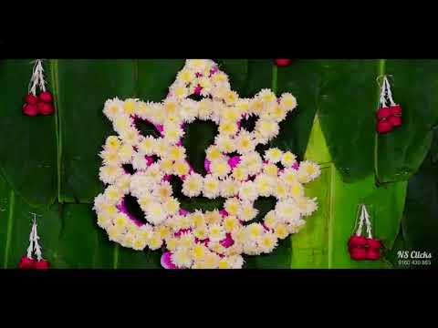 || Gayathri & Pradeep Kumar || Wedding video || NS clicks Photography & Videography || ph.9160430863