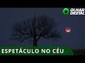 Eclipse lunar total: confira imagens da espetacular “Lua de Sangue”