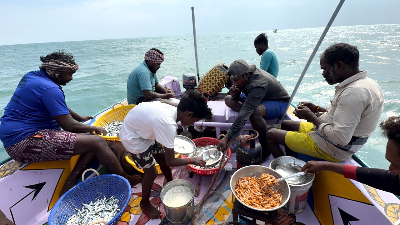 நெத்திலி மீன் மொத்தமா போட்டு சூப்பரான பொறியல் கடல் மேல super tasty anchovies and topped with seafood