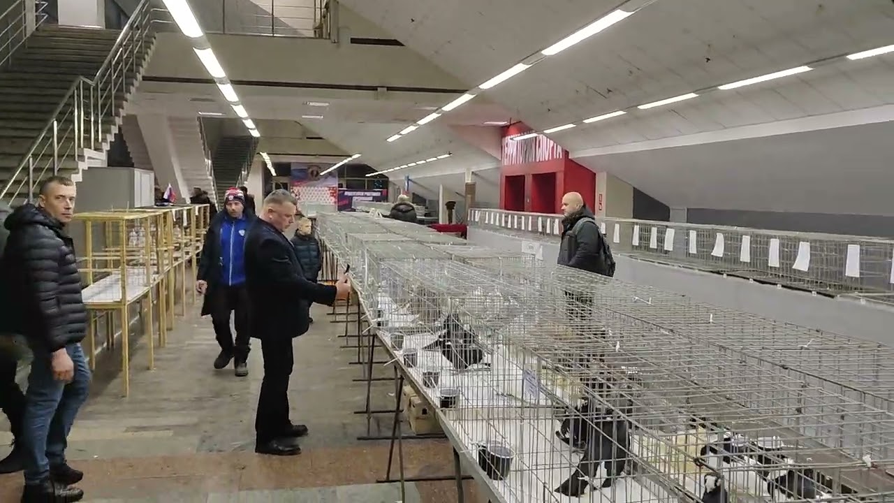 18.01.2026г Выставка в ЦСКА Москва ч.3