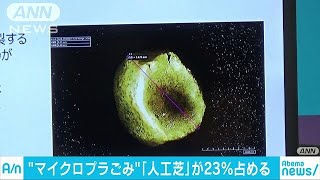 河川などのマイクロプラスチック　「人工芝」が23％(18/10/13)