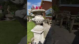 A Tour of the Garden in Early Autumn (September 2024) @dalepiper6693