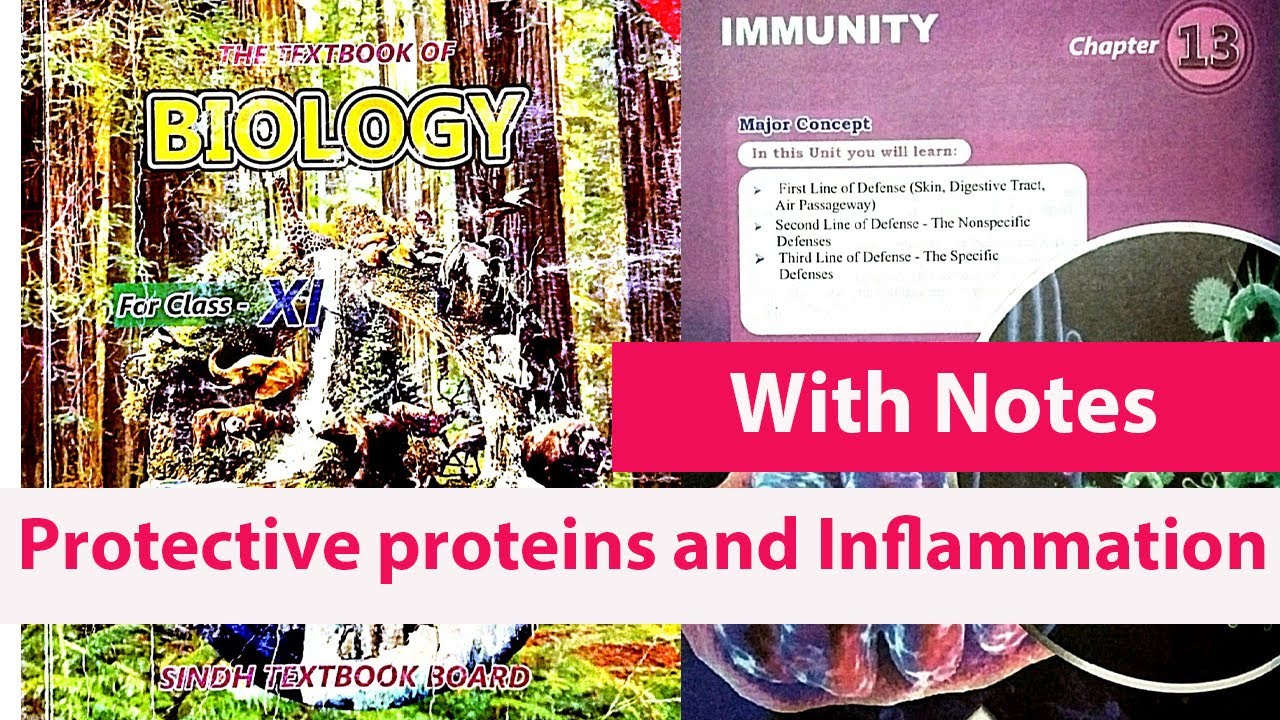 13.2.2 -Protective proteins & Inflammatory response || Second line of defense || Biology New book