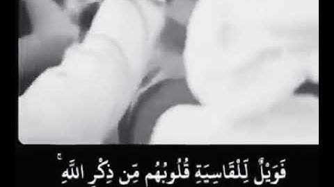 ماهر المعيقلي /# سورة الزمر ❤❤