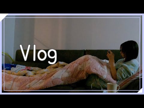 Vlog 　|　 오타쿠 일상 브이로그, 굿바이 선언 재촬영, Hand in Hand 촬영 비하인드,  너로 피어오라 생활한복, 젤다 야생의 숨결, 먹시먹끝 【슷셔】