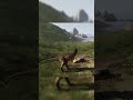 Dryo KI - Jagd in den Redwoods - Solo Rex
