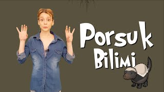 Porsuk Bilimi - Bal Porsuğu Resimi