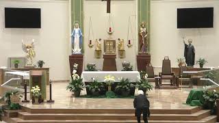 Live Mass