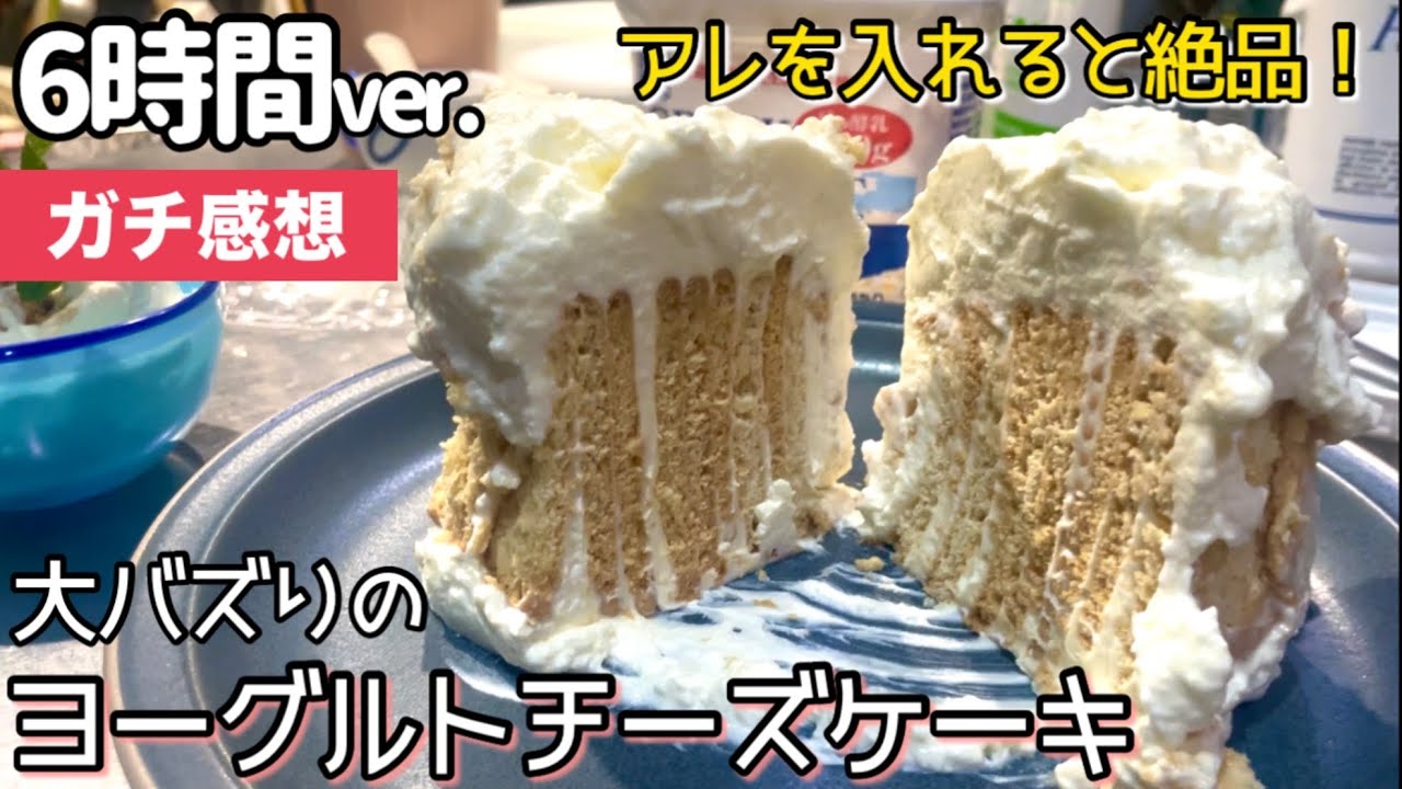 【検証】ココナッツサブレで作るヨーグルトチーズケーキ作ってみた！ガチ感想。他のクッキーでも美味しいの？