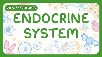 GCSE Biology - The Endocrine System (2026/27 exams)