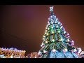 Ёлка в Харькове. Новогодняя ёлка. Самая высокая ёлка в Украине.