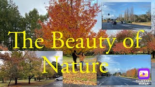 Driving Around After Lockdown | Bowral NSW Australia | Filipina❤️Australian Couple👩‍❤️‍👨