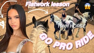 POV: Riding My Dream Horse | GoPro POV Flatwork Session