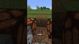 Minecraft Busting Myths: Elytra Launcher!