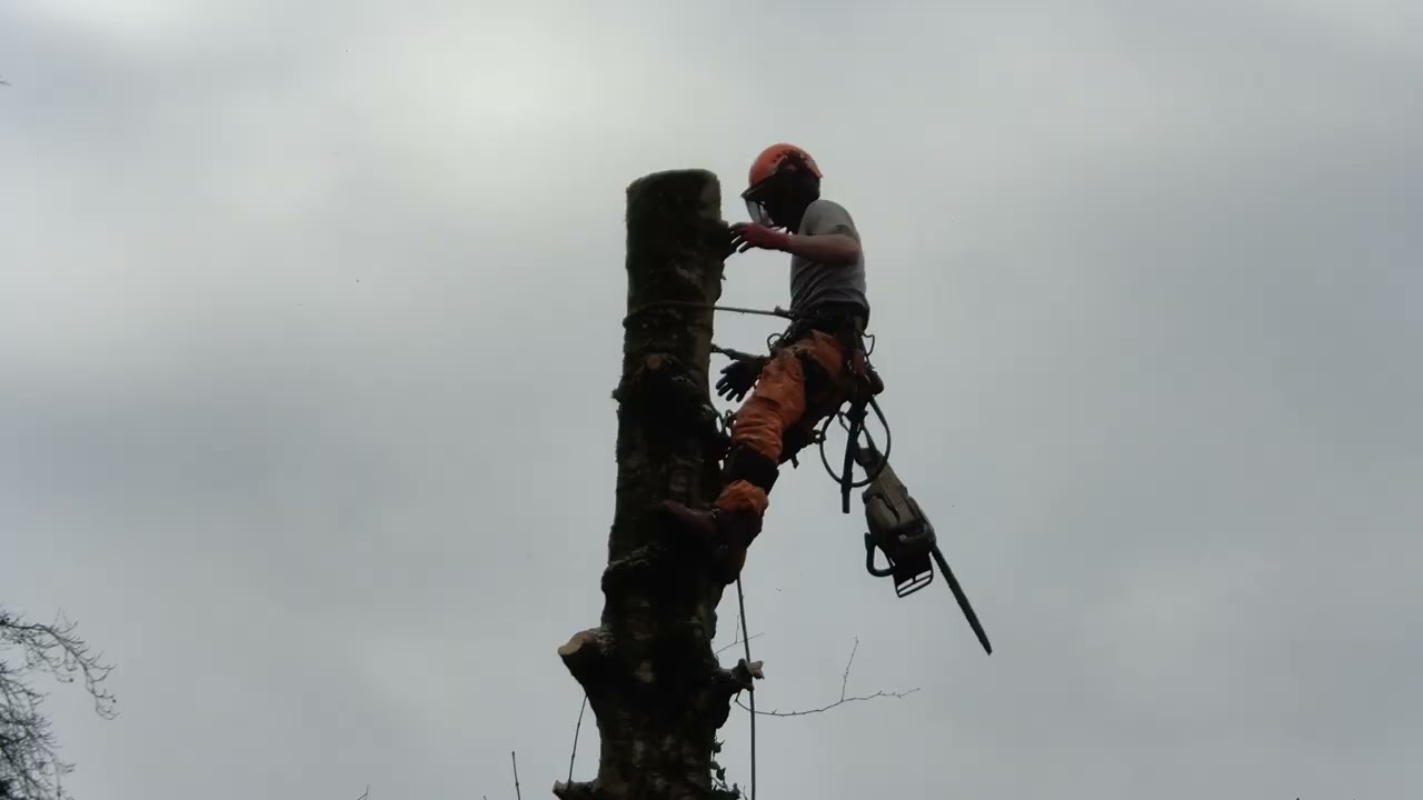 One of our trainees in action 