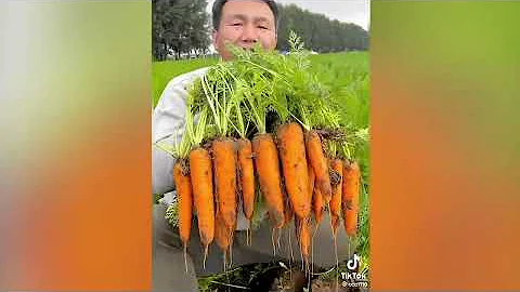 Like a Boss Compilation! Amazing People That Are on Another Level #11