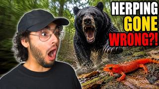 A Bear ATTACKED Us While Herping & RARE NEWT FOUND!  | Reptiles With Podcast