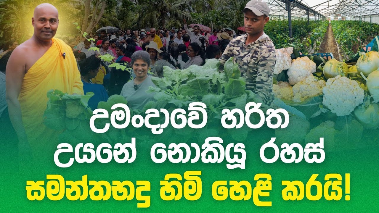 උමංදාවේ හරිත උයනේ නොකියූ රහස් සමන්තබද්‍ර හිමි හෙළි කරයි!