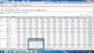 MicroStrategy Budgeting in Excel