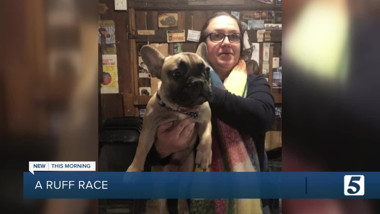 Kentucky town elects a dog for mayor YouTube