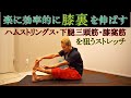 【膝裏を効率良く伸ばす方法】前屈だけでは伸ばせない膝裏の筋肉