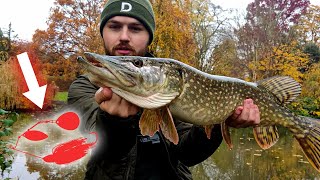 This PIKE LURE is UNDERRATED