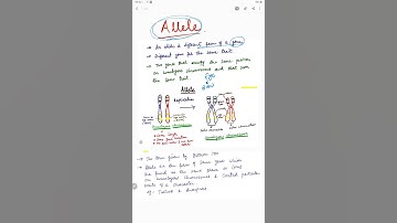 What is Allele? 🤔 😳 #shorts #biology  #allele #viralshorts