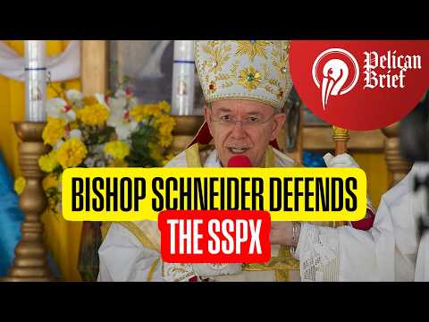 Bishop Schneider DEFENDS the SSPX Consecrations: "This Was Not Schism"
