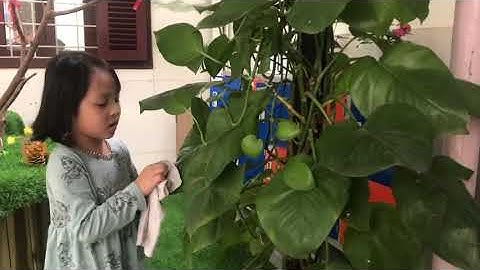 Bé Nguyễn Ngọc Như Ý tham gia cuộc thi Đại sứ xanh- Trường Mầm non Bà Triệu