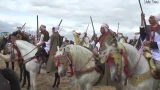 Salon du Cheval Tiaret 2016