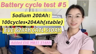 Battery Cycle Test Ep5: Sodium-ion 100 Cycles! EVE 628/CATL 530/EVE 314Ah Performance Review