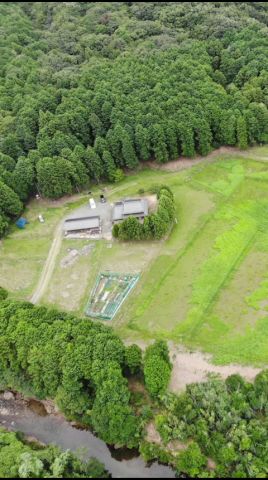 【週末田舎暮らし】サラリーマン山を買う！こんなはずではなかった…でも諦めない！#田舎暮らし #山を買う #草刈り #shorts