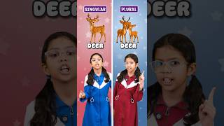 Singular and Plural Words for Kids 😍 | Easy English Vocabulary | Adi Connection AC #shorts