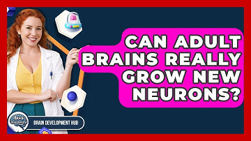 Can Adult Brains Really Grow New Neurons? - Brain Development Hub