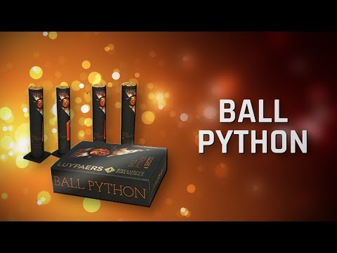 Ball Python (Luypaers Vuurwerk)