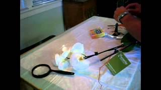TURN A WHITE ORCHID BLUE? Profile