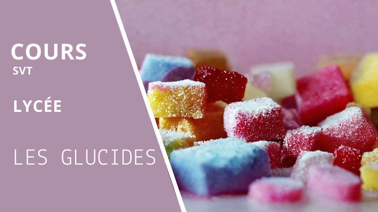 Les glucides (Hydrates de Carbone)