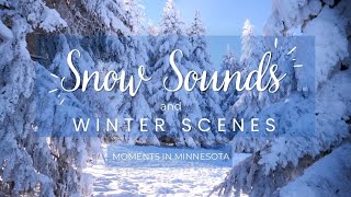 Winter Scenes & Snow Sounds | Winter Screensaver | No Music | HD 1080p