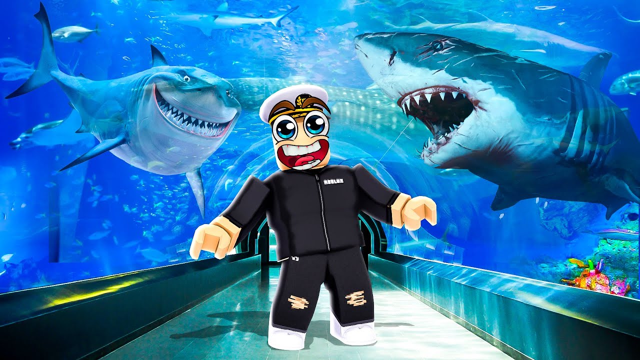 I Built the BEST AQUARIUM EVER in ROBLOX YouTube