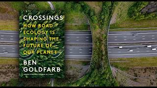 Author Series: Crossings:How Road Ecology Is Shaping the Future of Our Planet • Daily Dose of Nature